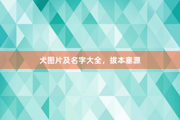 犬图片及名字大全，拔本塞源